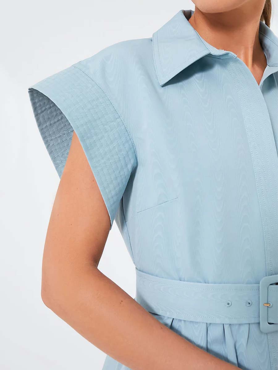 Short Wing Sleeve Dress