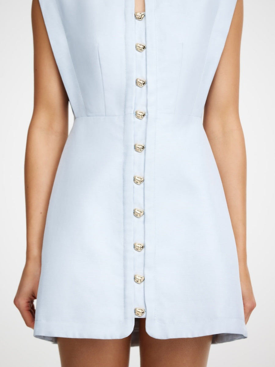 Fitted Waist Mini Dress