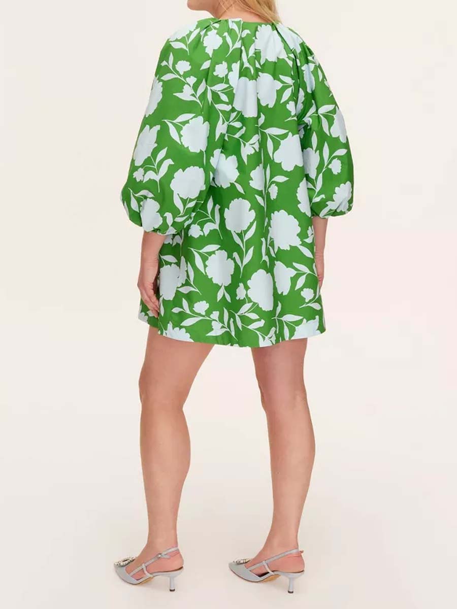 Printed V Neck Long Sleeve Mini Dress