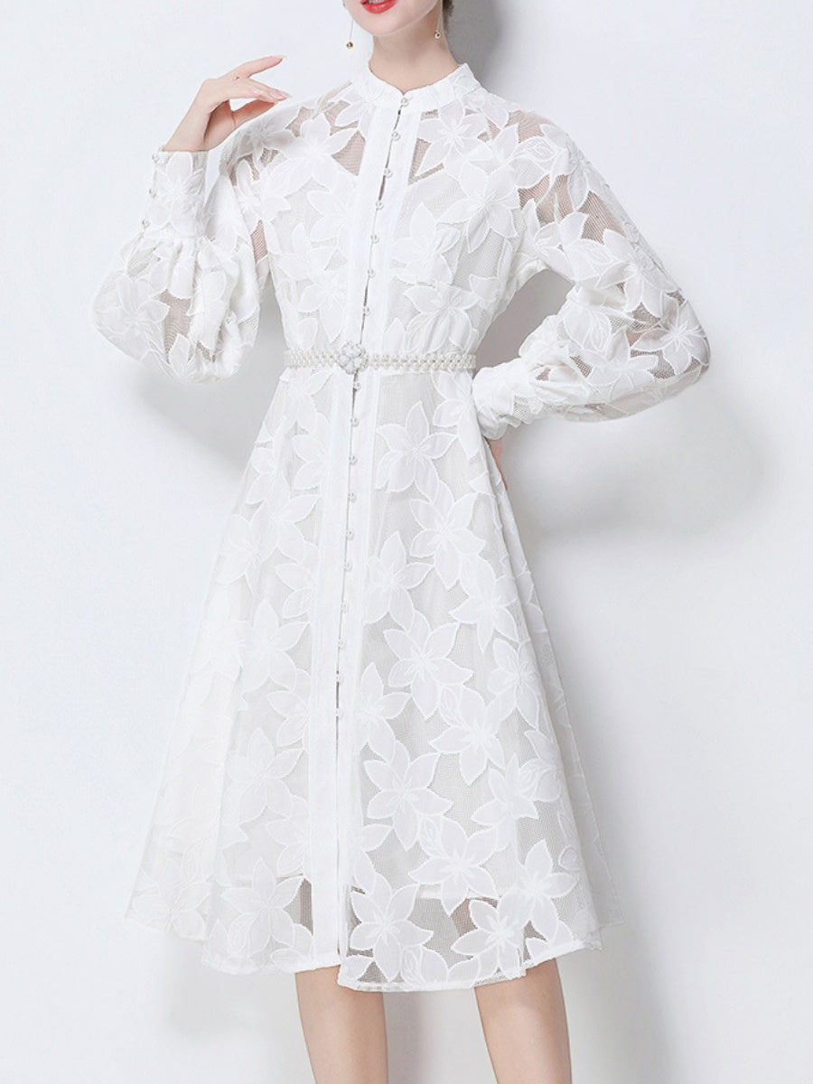 Hollow-Out Embroidered Lantern Sleeve Dress