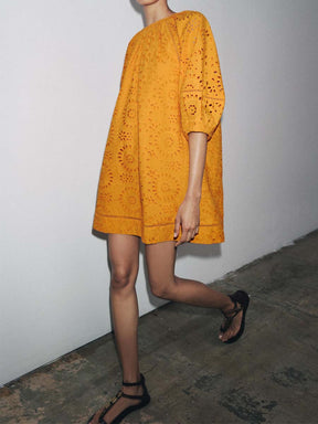 Lace Embroidered Mini Dress