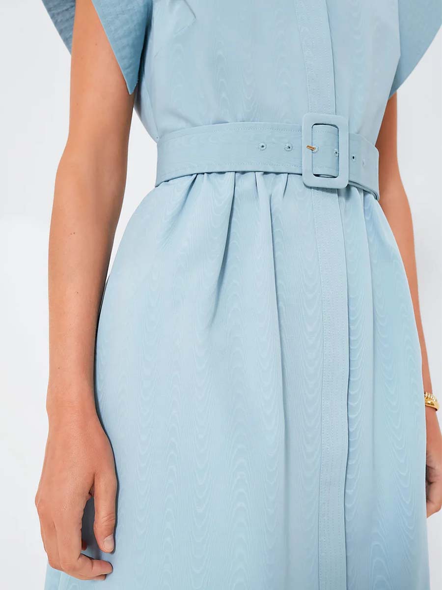 Short Wing Sleeve Dress