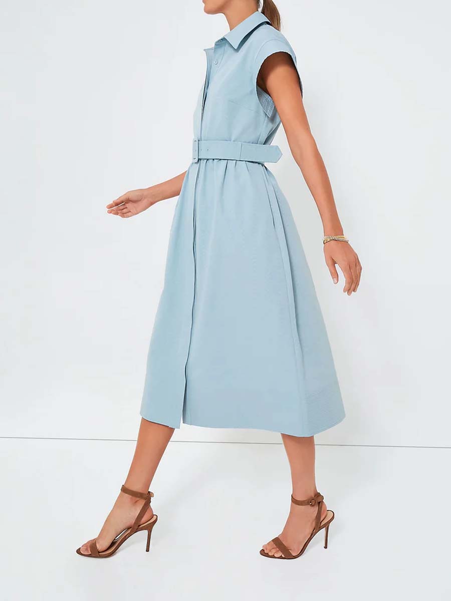 Short Wing Sleeve Dress