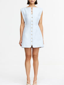 Fitted Waist Mini Dress