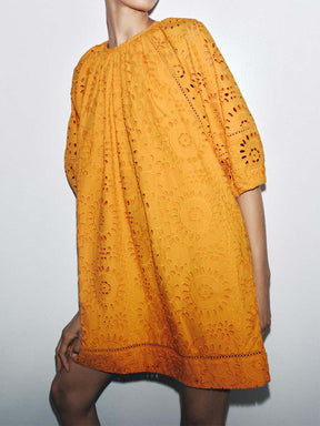 Lace Embroidered Mini Dress